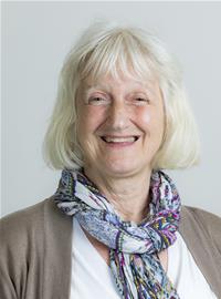 Profile image for Councillor Sue Kitchingham